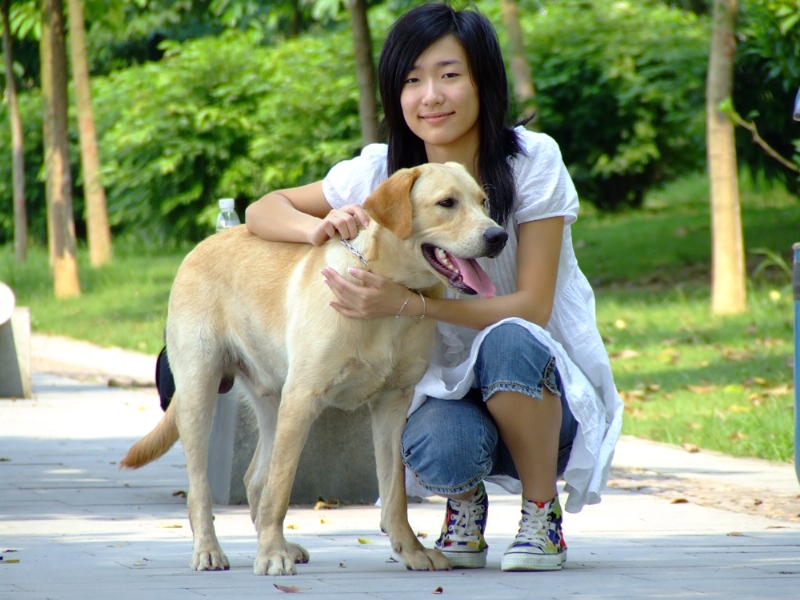 风中的绿叶的第一张照片--南宁相亲服务中心