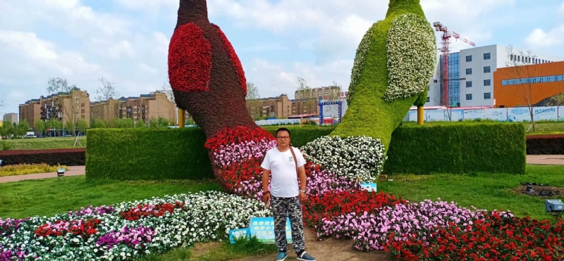 尘埃的第一张照片--南宁相亲服务中心