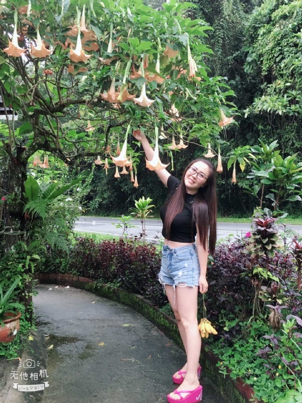 离异单身无子的第二张照片--南宁相亲服务中心