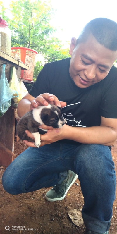 深圳相亲的第一张照片--南宁相亲服务中心