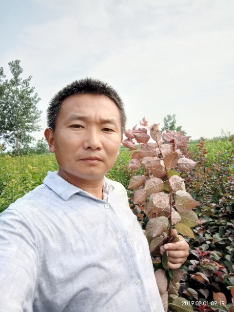 孩子爸的第一张照片--南宁相亲服务中心