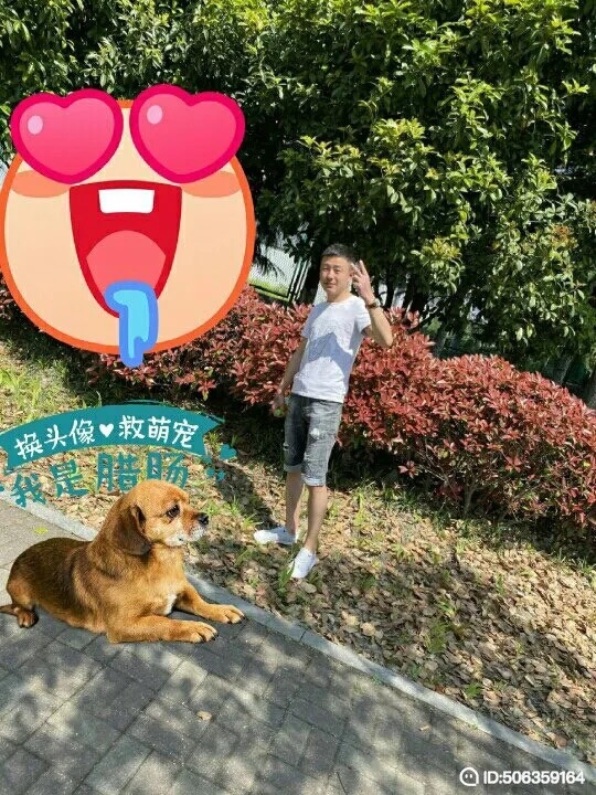 我若不坚强谁替我勇敢的第一张照片--南宁相亲服务中心