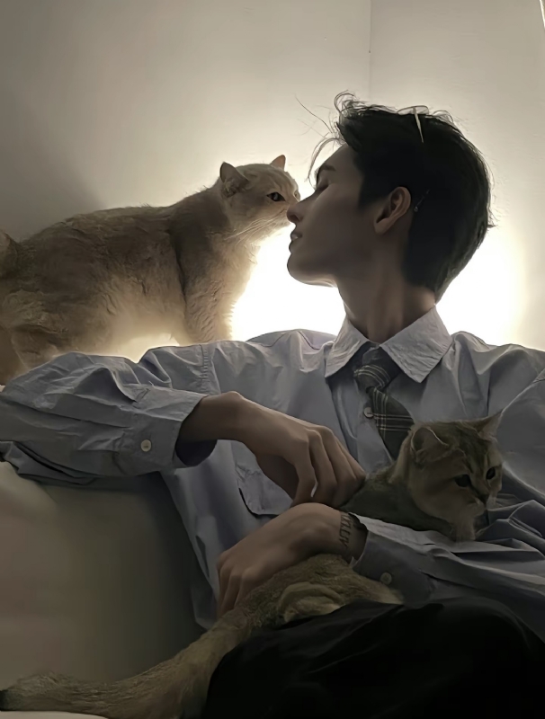 怪猫的第一张照片--南宁相亲服务中心