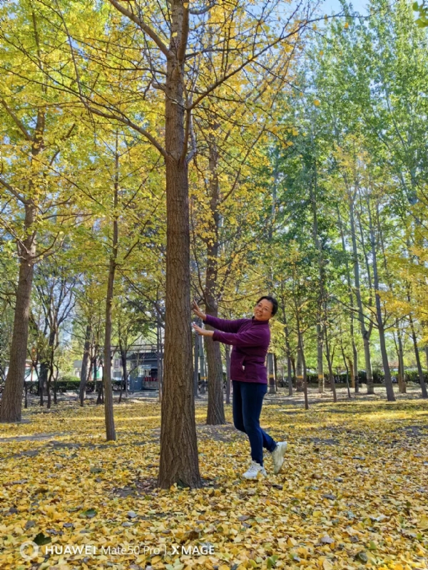 Shirley的第一张照片--南宁相亲服务中心