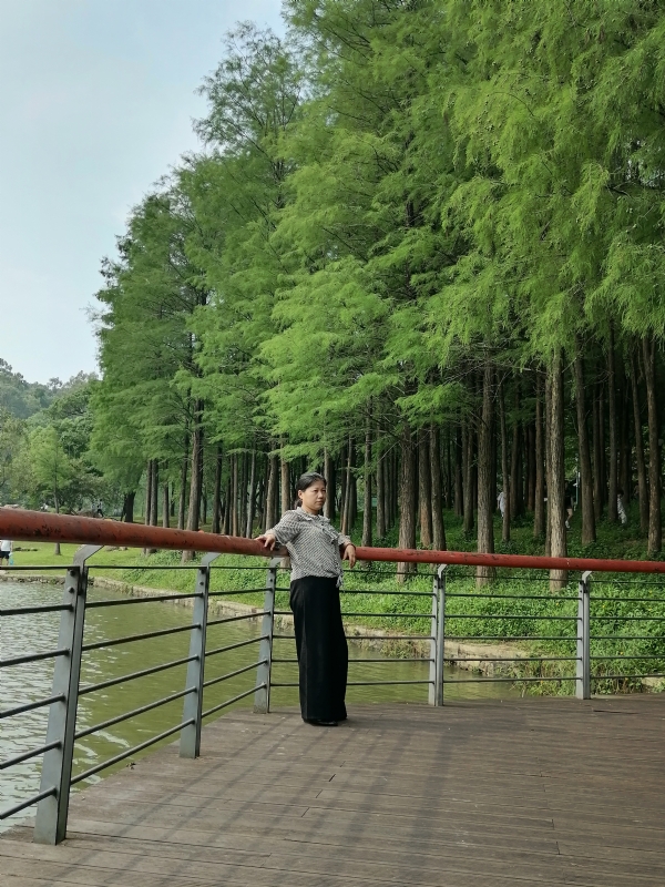 遗失的记忆的第二张照片--南宁相亲服务中心