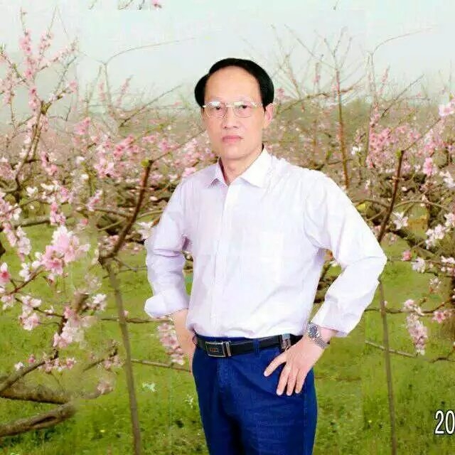 枫叶的第一张照片--南宁相亲服务中心